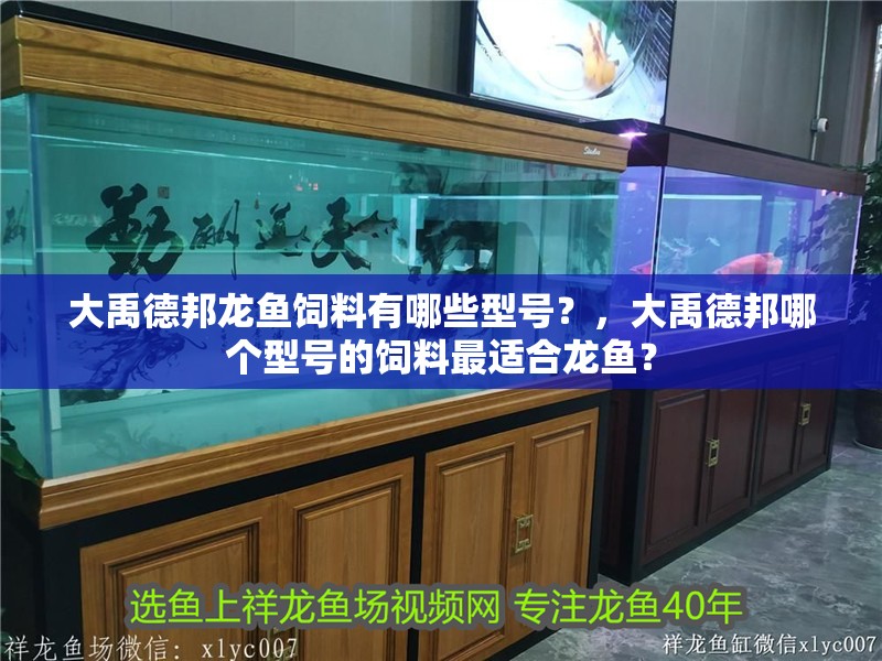 大禹德邦龍魚飼料有哪些型號？，大禹德邦哪個型號的飼料最適合龍魚？