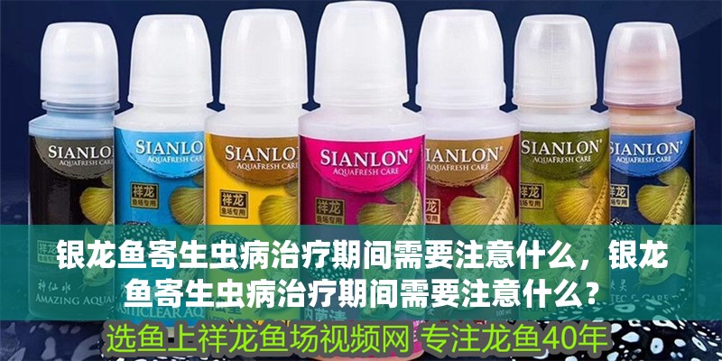 銀龍魚寄生蟲病治療期間需要注意什么，銀龍魚寄生蟲病治療期間需要注意什么？