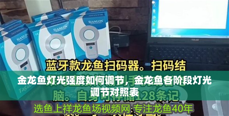 金龍魚燈光強(qiáng)度如何調(diào)節(jié)，金龍魚各階段燈光調(diào)節(jié)對(duì)照表