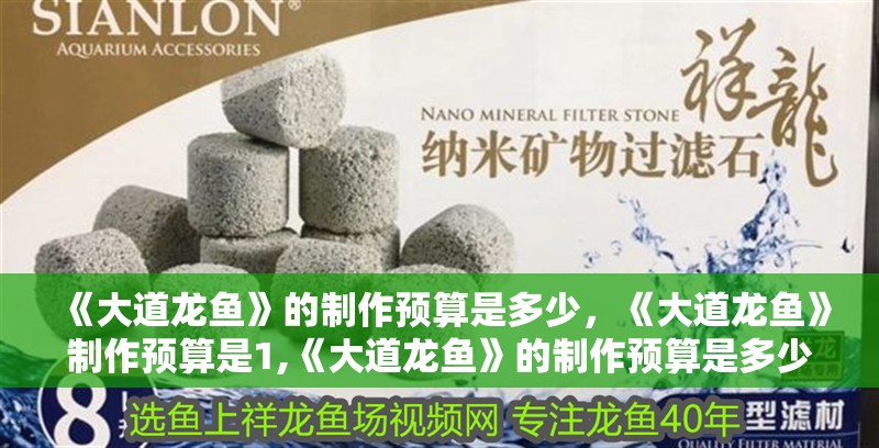 《大道龍魚》的制作預(yù)算是多少，《大道龍魚》制作預(yù)算是1,《大道龍魚》的制作預(yù)算是多少