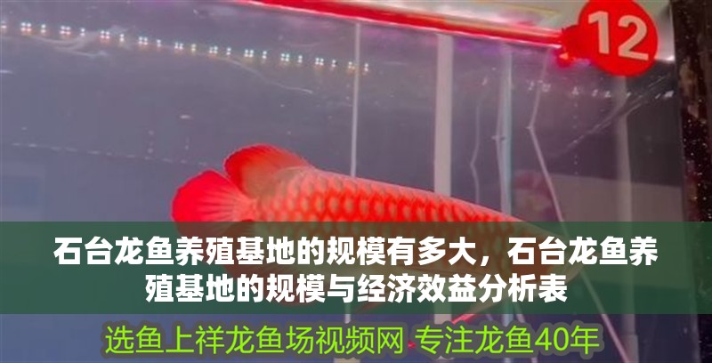 石臺龍魚養殖基地的規模有多大，石臺龍魚養殖基地的規模與經濟效益分析表