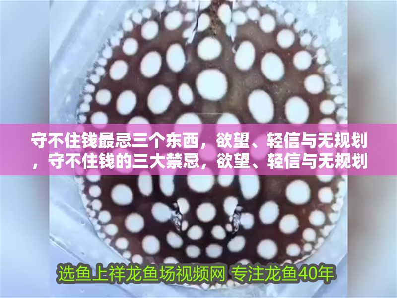 守不住錢最忌三個東西，欲望、輕信與無規劃，守不住錢的三大禁忌，欲望、輕信與無規劃