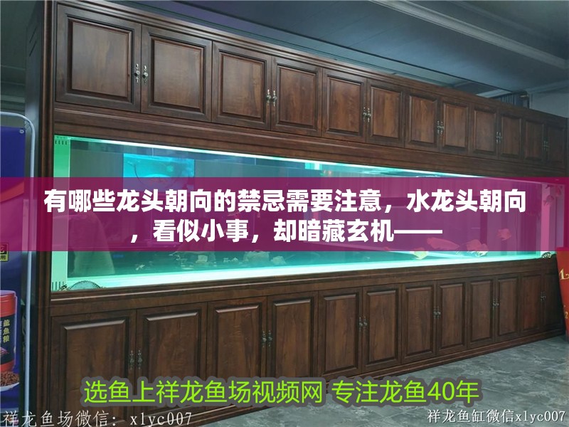 有哪些龍頭朝向的禁忌需要注意，水龍頭朝向，看似小事，卻暗藏玄機(jī)——