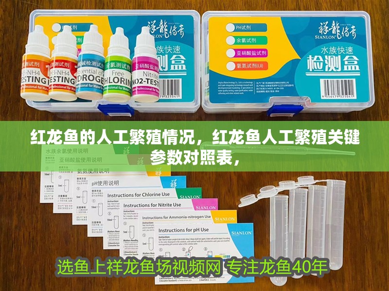 紅龍魚的人工繁殖情況，紅龍魚人工繁殖關鍵參數對照表，