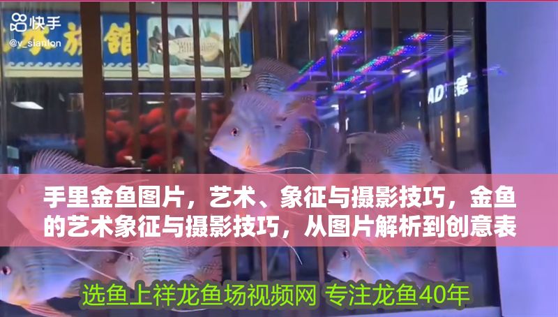 手里金魚圖片，藝術、象征與攝影技巧，金魚的藝術象征與攝影技巧，從圖片解析到創意表達