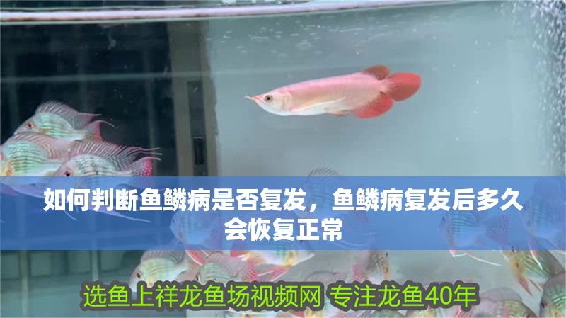 如何判斷魚鱗病是否復發，魚鱗病復發后多久會恢復正常