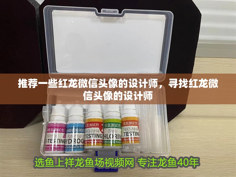 推薦一些紅龍微信頭像的設計師，尋找紅龍微信頭像的設計師