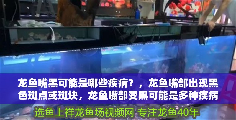 龍魚嘴黑可能是哪些疾病？，龍魚嘴部出現黑色斑點或斑塊，龍魚嘴部變黑可能是多種疾病