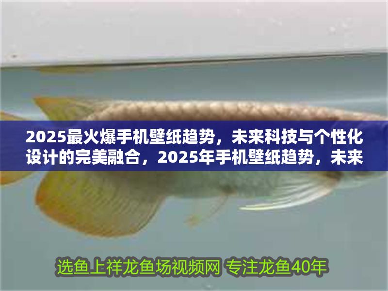 2025最火爆手機(jī)壁紙趨勢，未來科技與個(gè)性化設(shè)計(jì)的完美融合，2025年手機(jī)壁紙趨勢，未來科技與個(gè)性化設(shè)計(jì)的驚艷融合
