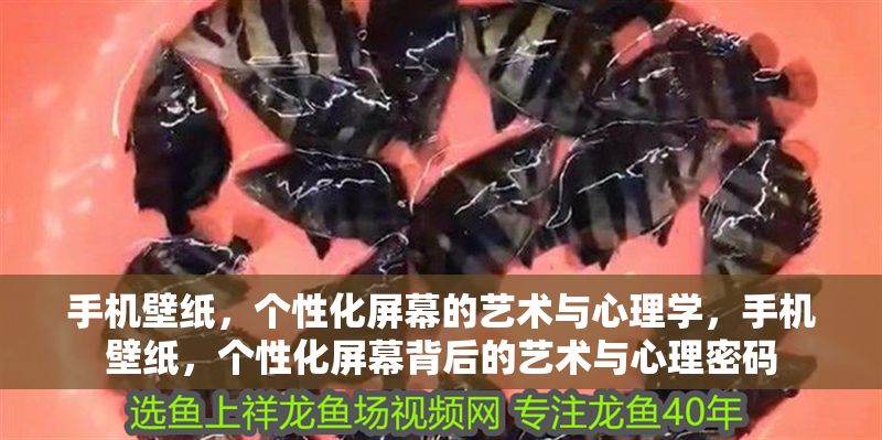 手機(jī)壁紙，個(gè)性化屏幕的藝術(shù)與心理學(xué)，手機(jī)壁紙，個(gè)性化屏幕背后的藝術(shù)與心理密碼