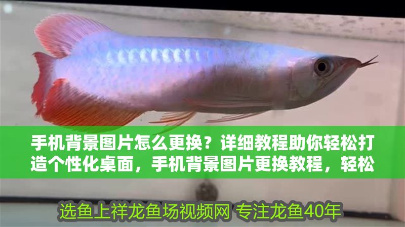 手機背景圖片怎么更換？詳細教程助你輕松打造個性化桌面，手機背景圖片更換教程，輕松打造個性化桌面