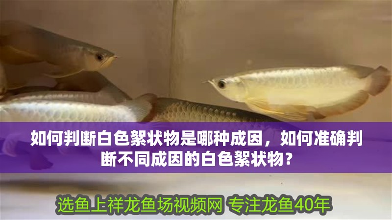 如何判斷白色絮狀物是哪種成因，如何準確判斷不同成因的白色絮狀物？