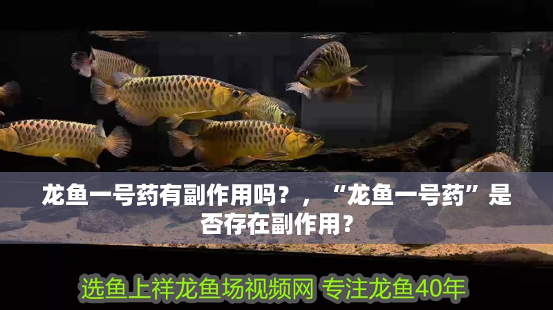 龍魚一號藥有副作用嗎？，“龍魚一號藥”是否存在副作用？