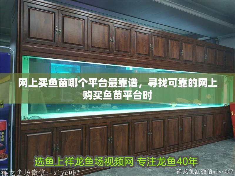 網上買魚苗哪個平臺最靠譜，尋找可靠的網上購買魚苗平臺時