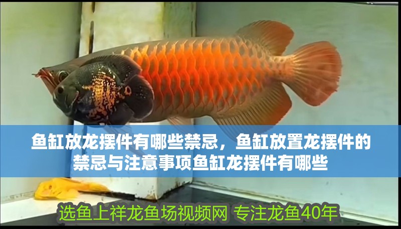 魚缸放龍擺件有哪些禁忌，魚缸放置龍擺件的禁忌與注意事項魚缸龍擺件有哪些