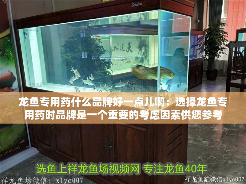 龍魚專用藥什么品牌好一點兒啊：選擇龍魚專用藥時品牌是一個重要的考慮因素供您參考