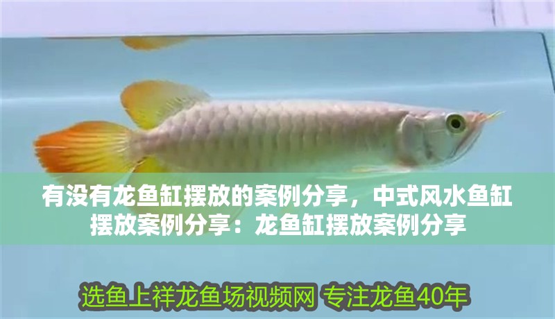 有沒有龍魚缸擺放的案例分享，中式風水魚缸擺放案例分享：龍魚缸擺放案例分享