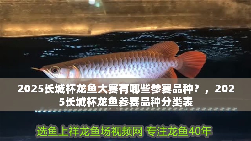 2025長城杯龍魚大賽有哪些參賽品種？，2025長城杯龍魚參賽品種分類表