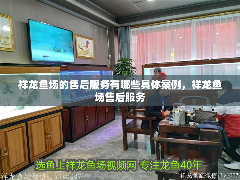 祥龍魚場的售后服務有哪些具體案例，祥龍魚場售后服務