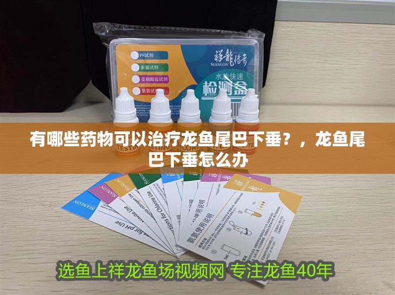 有哪些藥物可以治療龍魚尾巴下垂？，龍魚尾巴下垂怎么辦