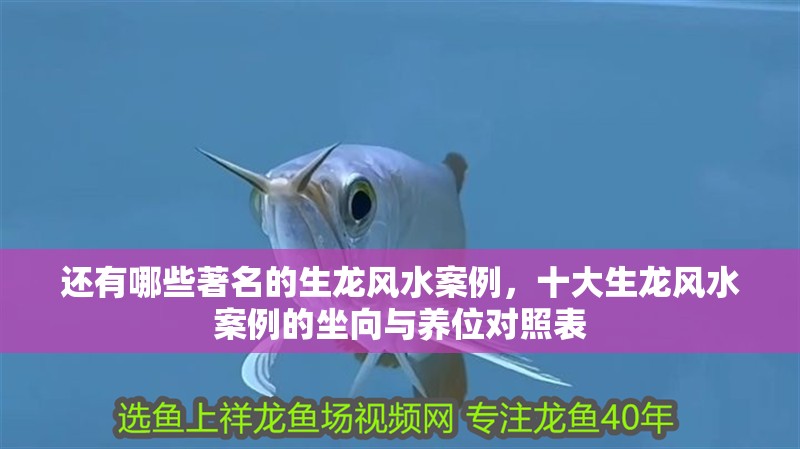 還有哪些著名的生龍風(fēng)水案例，十大生龍風(fēng)水案例的坐向與養(yǎng)位對(duì)照表