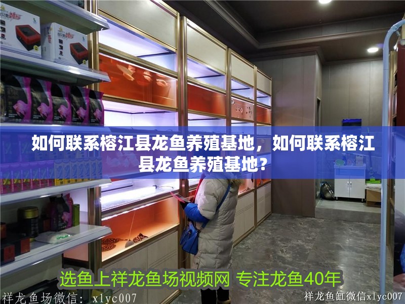 如何聯(lián)系<strong><mark>榕江</mark></strong>縣龍魚養(yǎng)殖基地，如何聯(lián)系<strong><mark>榕江</mark></strong>縣龍魚養(yǎng)殖基地？