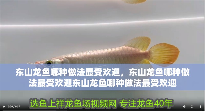 東山龍魚哪種做法最受歡迎，東山龍魚哪種做法最受歡迎東山龍魚哪種做法最受歡迎