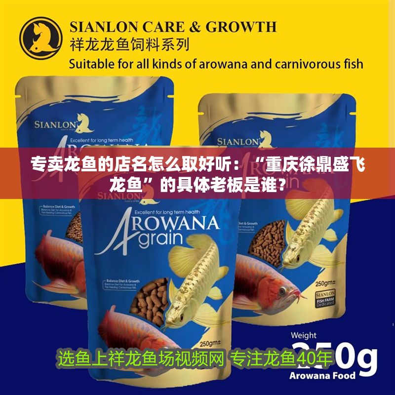 專賣龍魚的店名怎么取好聽：“重慶徐鼎盛飛龍魚”的具體老板是誰？