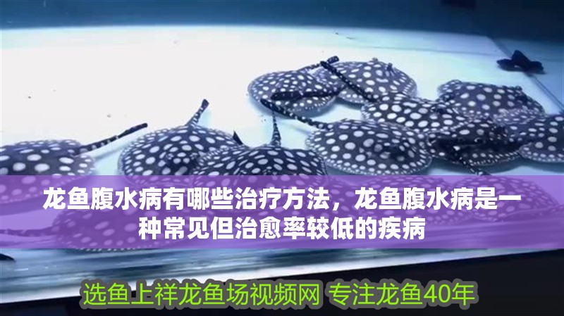 龍魚腹水病有哪些治療方法，龍魚腹水病是一種常見但治愈率較低的疾病