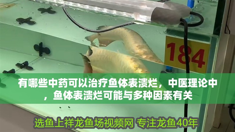 有哪些中藥可以治療魚體表潰爛，中醫理論中，魚體表潰爛可能與多種因素有關