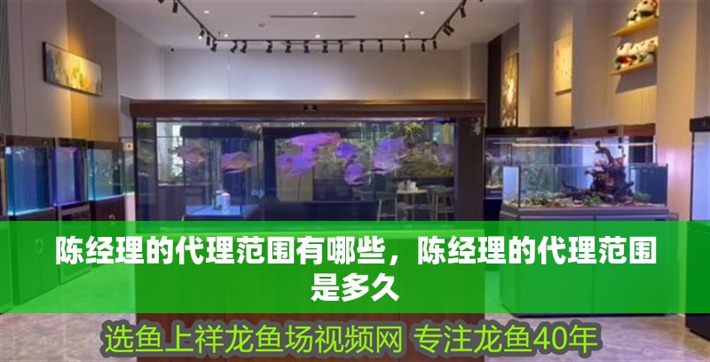 陳經理的代理范圍有哪些，陳經理的代理范圍是多久