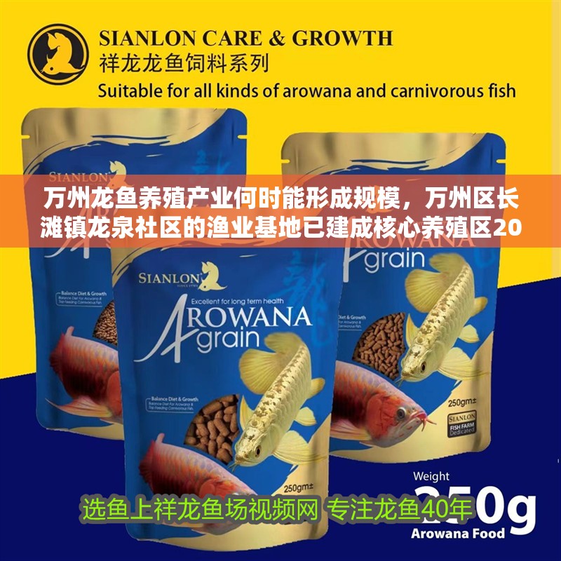 萬州龍魚養殖產業何時能形成規模，萬州區長灘鎮龍泉社區的漁業基地已建成核心養殖區200畝