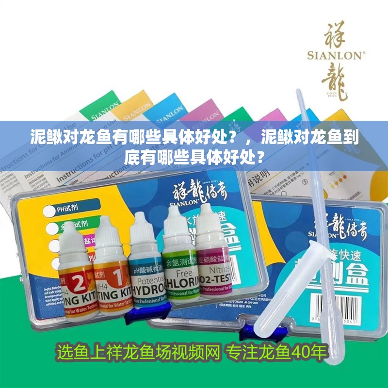 泥鰍對龍魚有哪些具體好處？，泥鰍對龍魚到底有哪些具體好處？