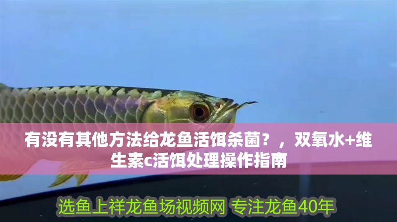 有沒有其他方法給龍魚活餌殺菌？，雙氧水+維生素c活餌處理操作指南