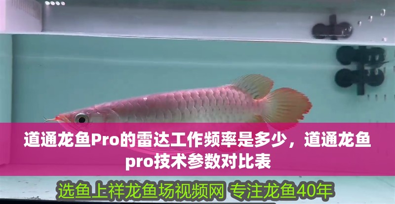 道通龍魚Pro的雷達(dá)工作頻率是多少，道通龍魚pro技術(shù)參數(shù)對比表
