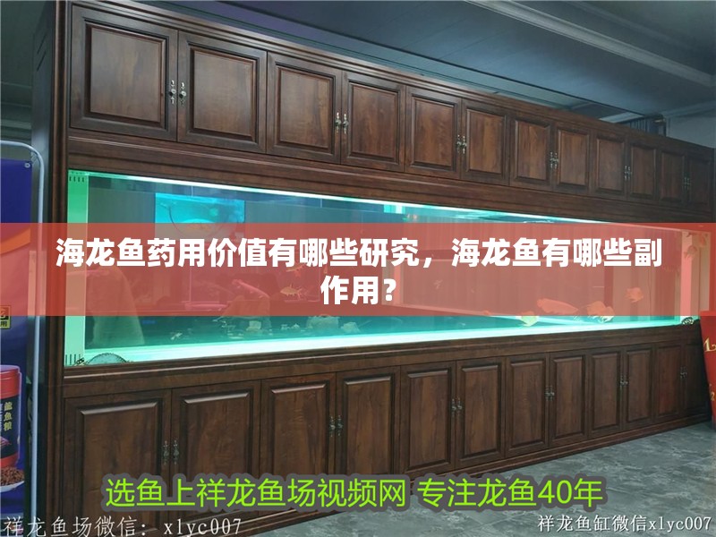 海龍魚藥用價值有哪些研究，海龍魚有哪些副作用？