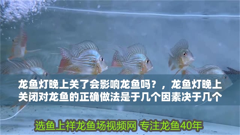 龍魚燈晚上關(guān)了會影響龍魚嗎？，龍魚燈晚上關(guān)閉對龍魚的正確做法是于幾個因素決于幾個因素