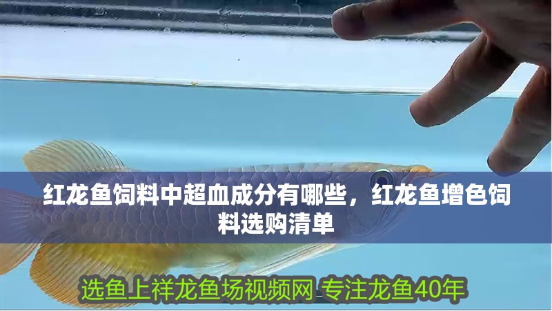 紅龍魚飼料中超血成分有哪些，紅龍魚增色飼料選購清單