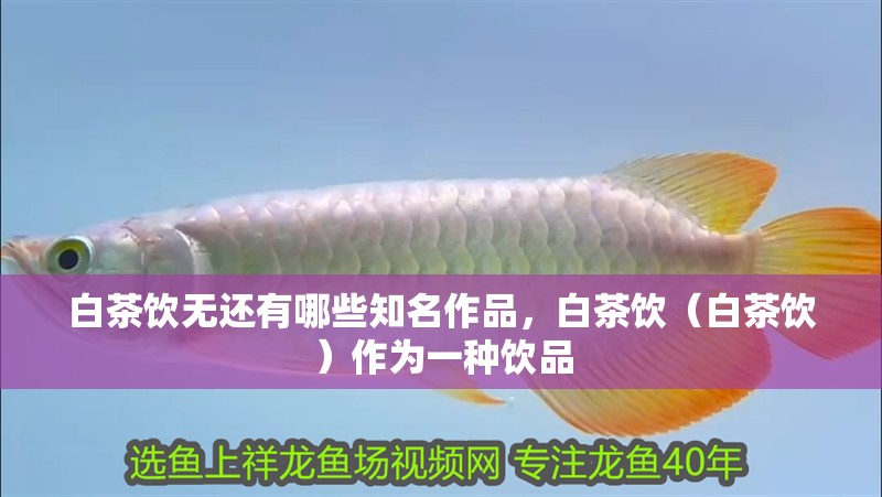 白茶飲無還有哪些知名作品，白茶飲（白茶飲）作為一種飲品