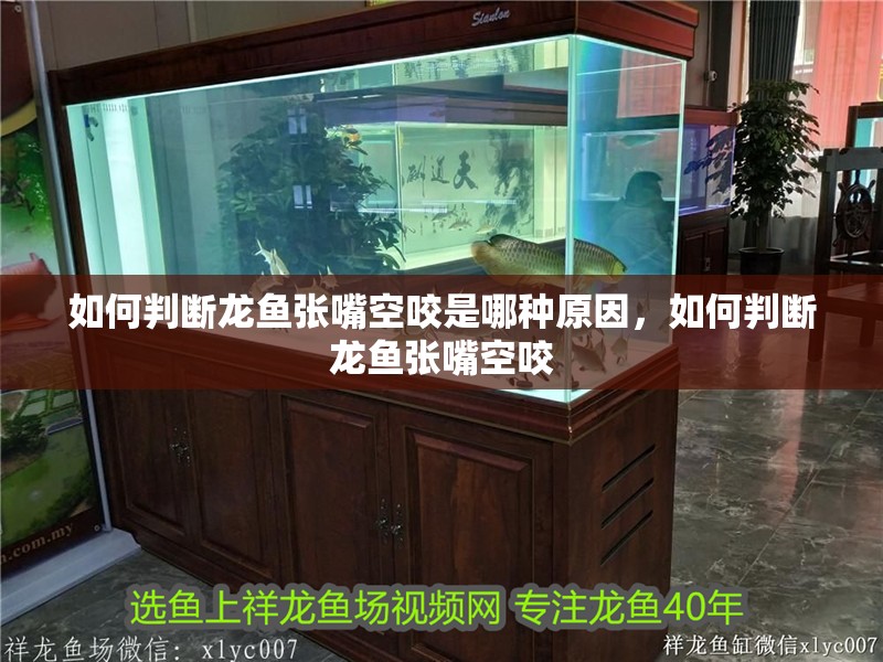 如何判斷龍魚張嘴空咬是哪種原因，如何判斷龍魚張嘴空咬