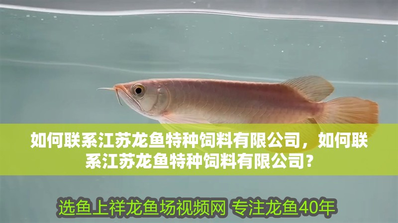 如何聯系江蘇龍魚特種飼料有限公司，如何聯系江蘇龍魚特種飼料有限公司？