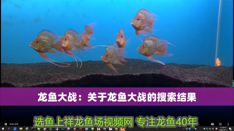 龍魚大戰：關于龍魚大戰的搜索結果