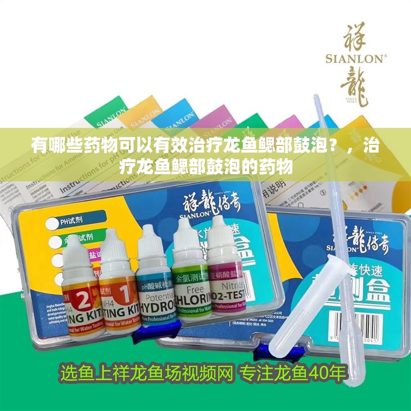 有哪些藥物可以有效治療龍魚鰓部鼓泡？，治療龍魚鰓部鼓泡的藥物