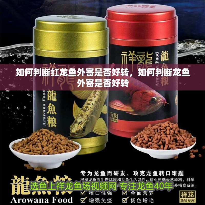 如何判斷紅龍魚外寄是否好轉，如何判斷龍魚外寄是否好轉