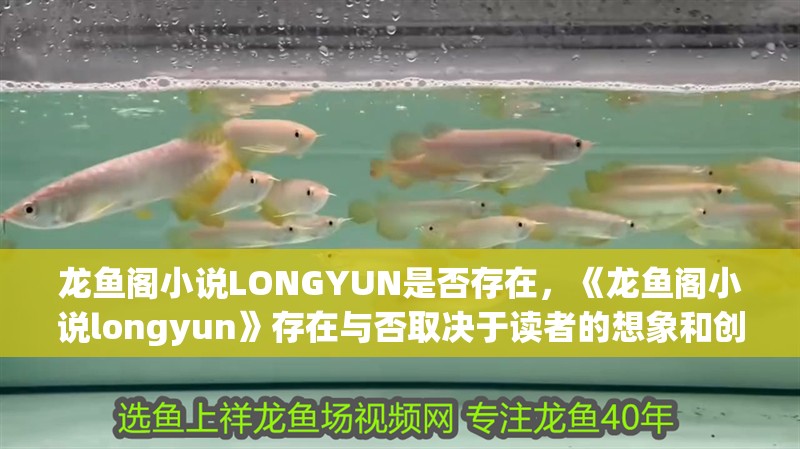 龍魚閣小說(shuō)LONGYUN是否存在，《龍魚閣小說(shuō)longyun》存在與否取決于讀者的想象和創(chuàng)作