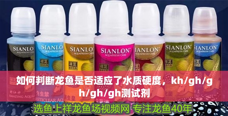 如何判斷龍魚(yú)是否適應(yīng)了水質(zhì)硬度，kh/gh/gh/gh/gh測(cè)試劑