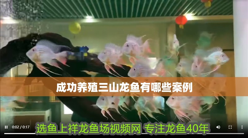 成功養殖三山龍魚有哪些案例