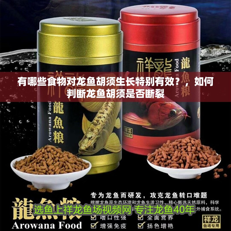 有哪些食物對(duì)龍魚胡須生長(zhǎng)特別有效？，如何判斷龍魚胡須是否斷裂