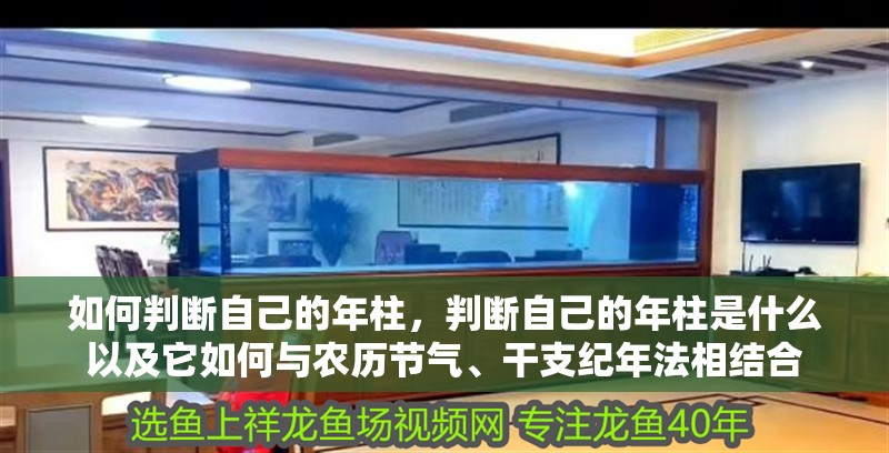 如何判斷自己的年柱，判斷自己的年柱是什么以及它如何與農歷節氣、干支紀年法相結合 如何判斷自己的年柱，判斷自己的年柱是什么以及它如何與農歷節氣、干支紀年法相結合 龍魚百科