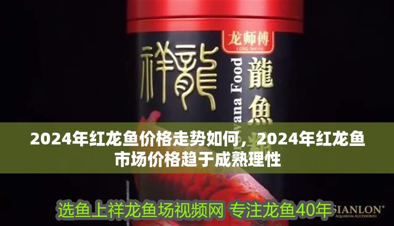 2024年紅龍魚價格走勢如何，2024年紅龍魚市場價格趨于成熟理性 2024年紅龍魚價格走勢如何，2024年紅龍魚市場價格趨于成熟理性 龍魚百科